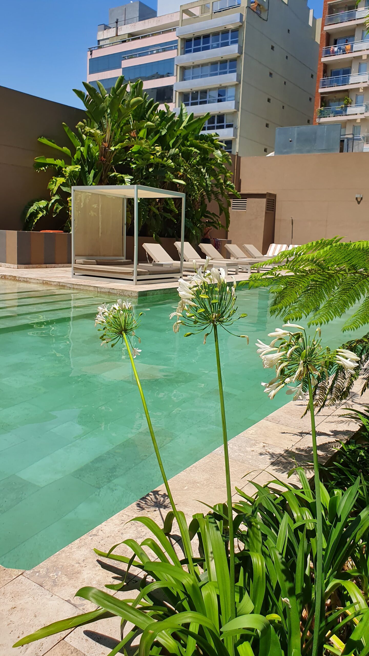 2 Ambientes con Amenities Palermo - Imagen 2